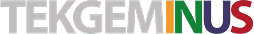 TekGeminus Logo